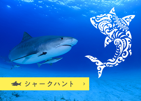 シャークハント