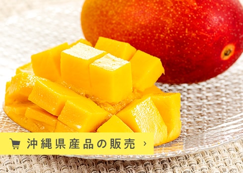 沖縄県産品の販売